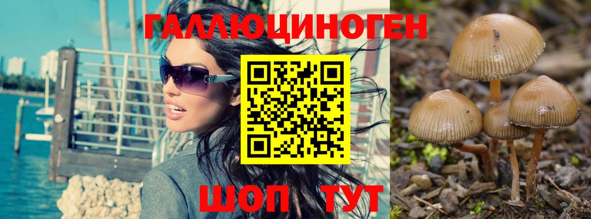 Псилоцибиновые грибы GOLDEN TEACHER  Вход с VPN  Рыбинск  Псилоцибиновые грибы мицелий 